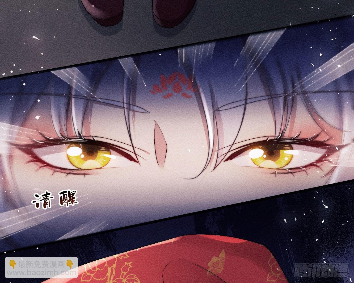 暴力破局