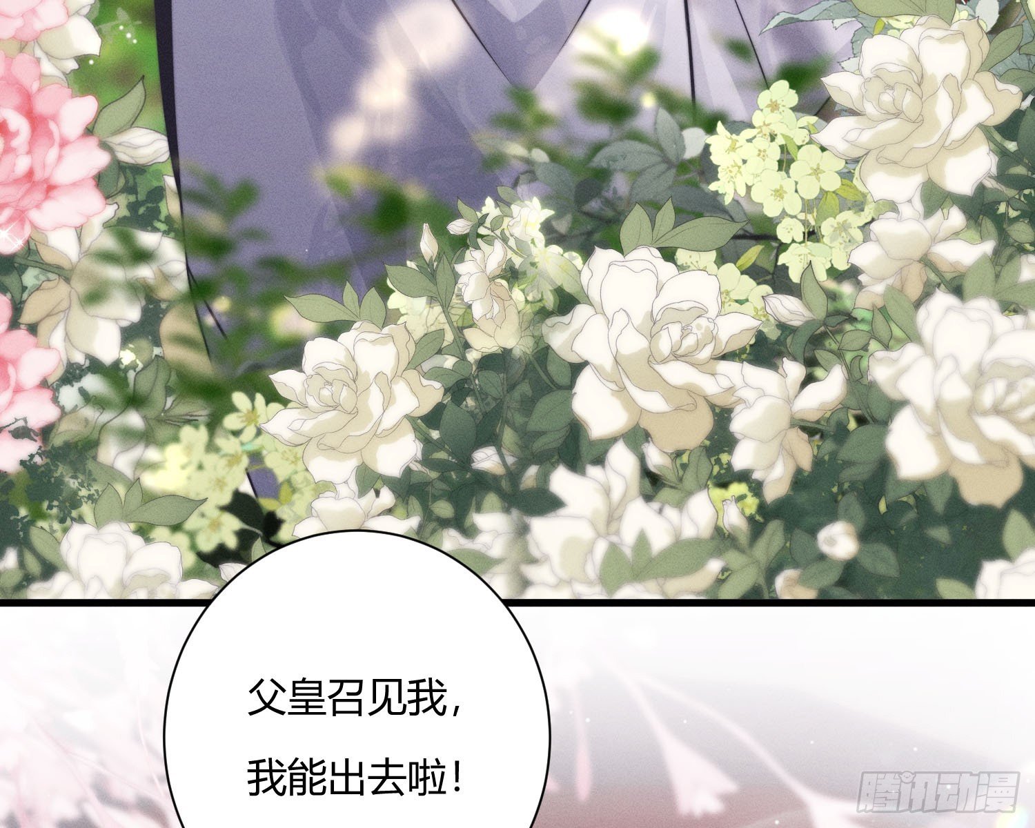 初识别离