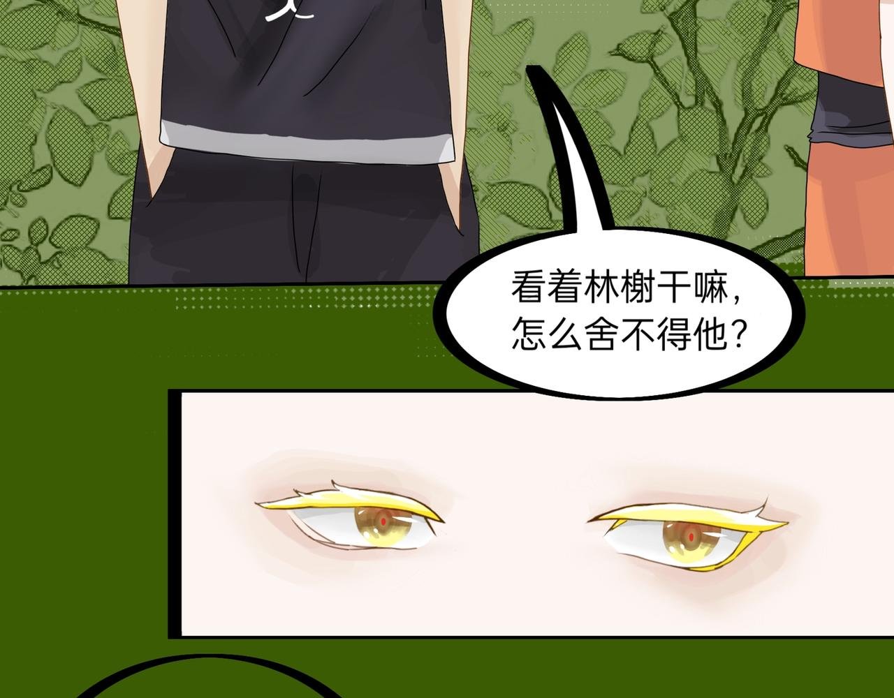 倒也不急