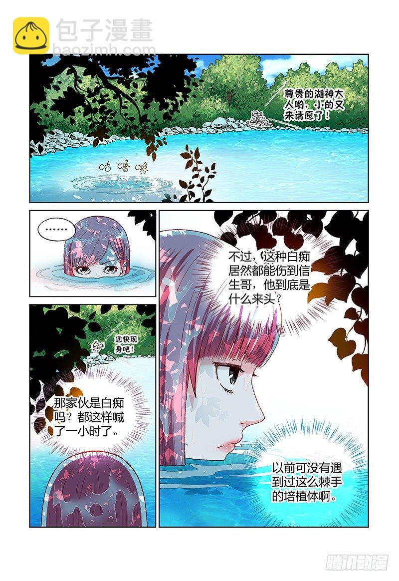 第七话·曼陀罗之种