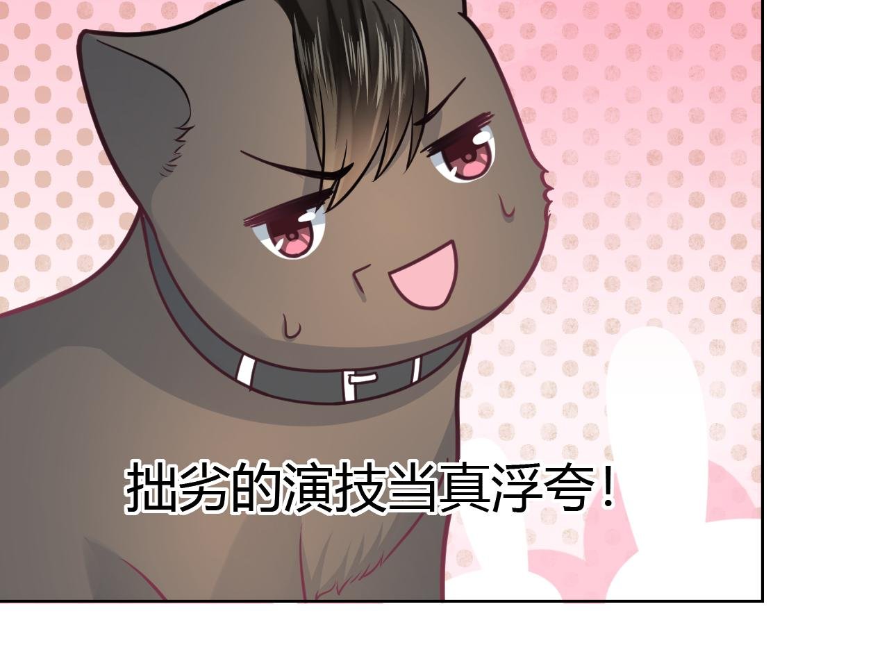 第15话 制造偶遇