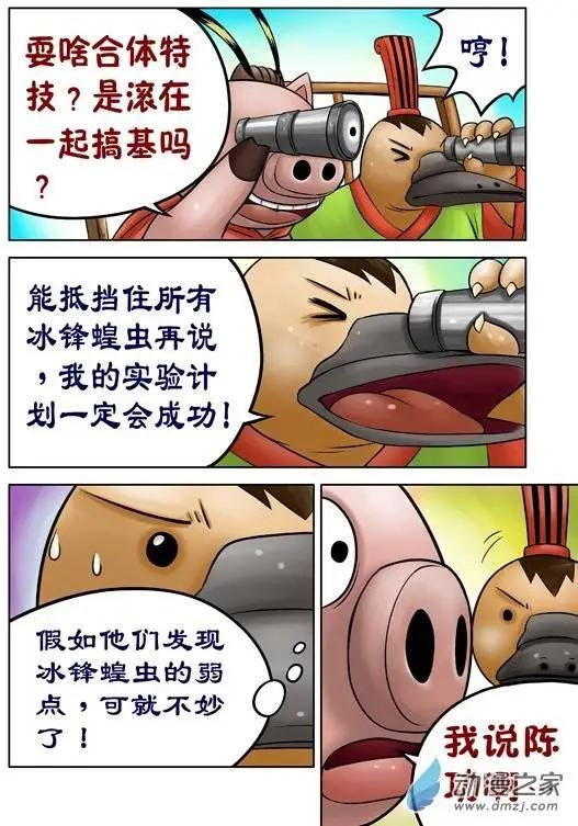 第43回