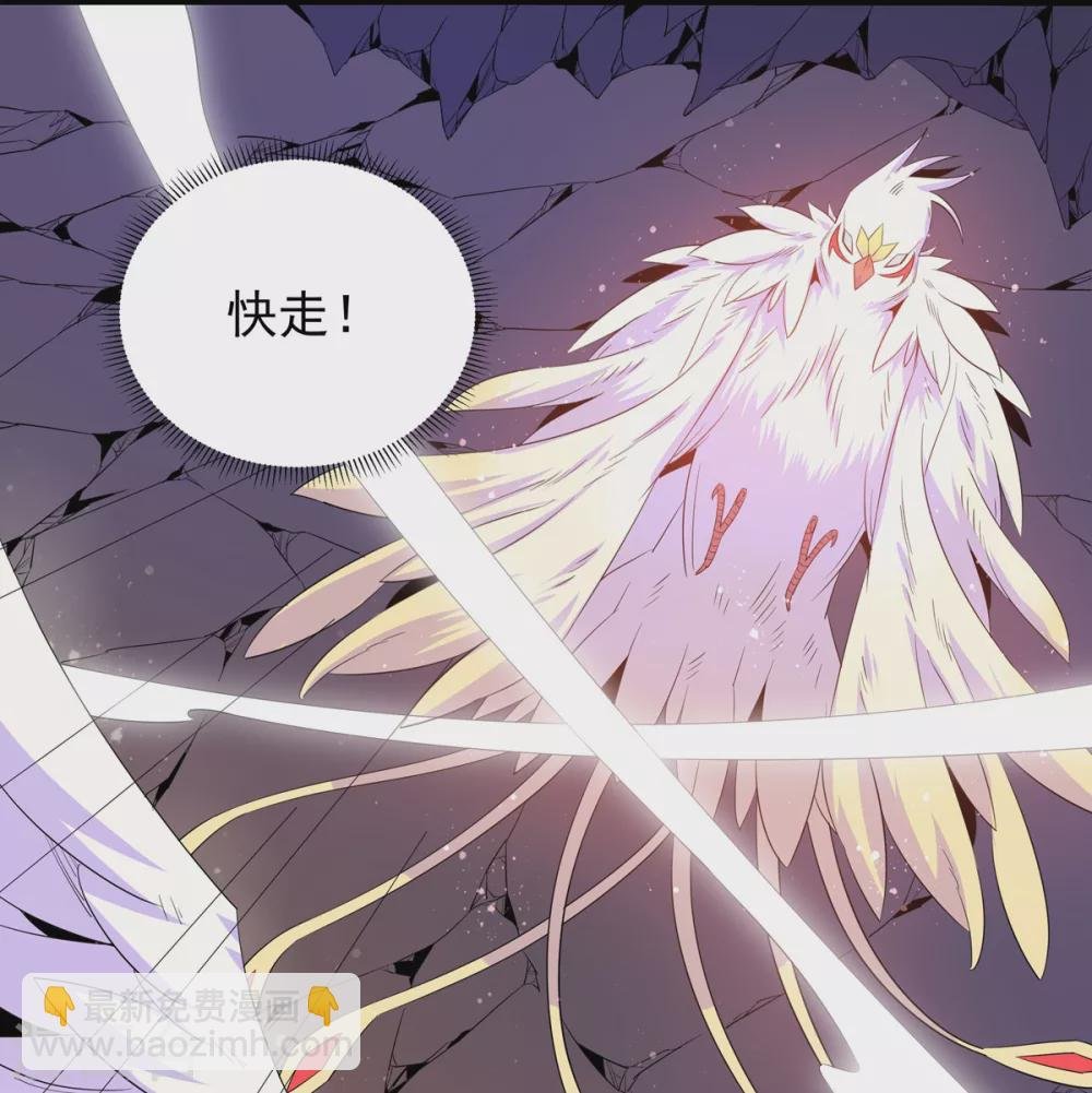 第20话 玄冰羽翼