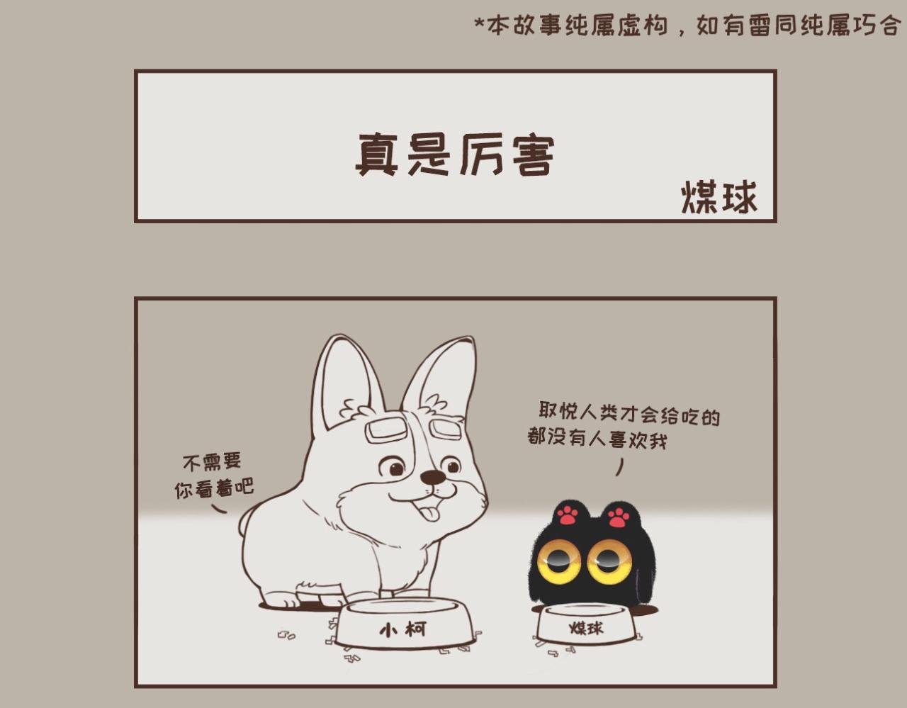 晚安，煤球