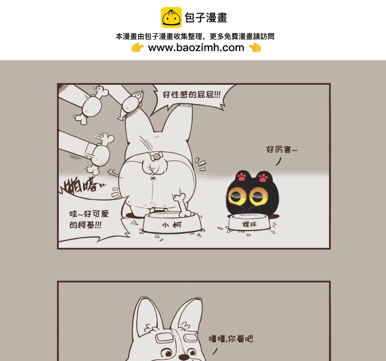晚安，煤球