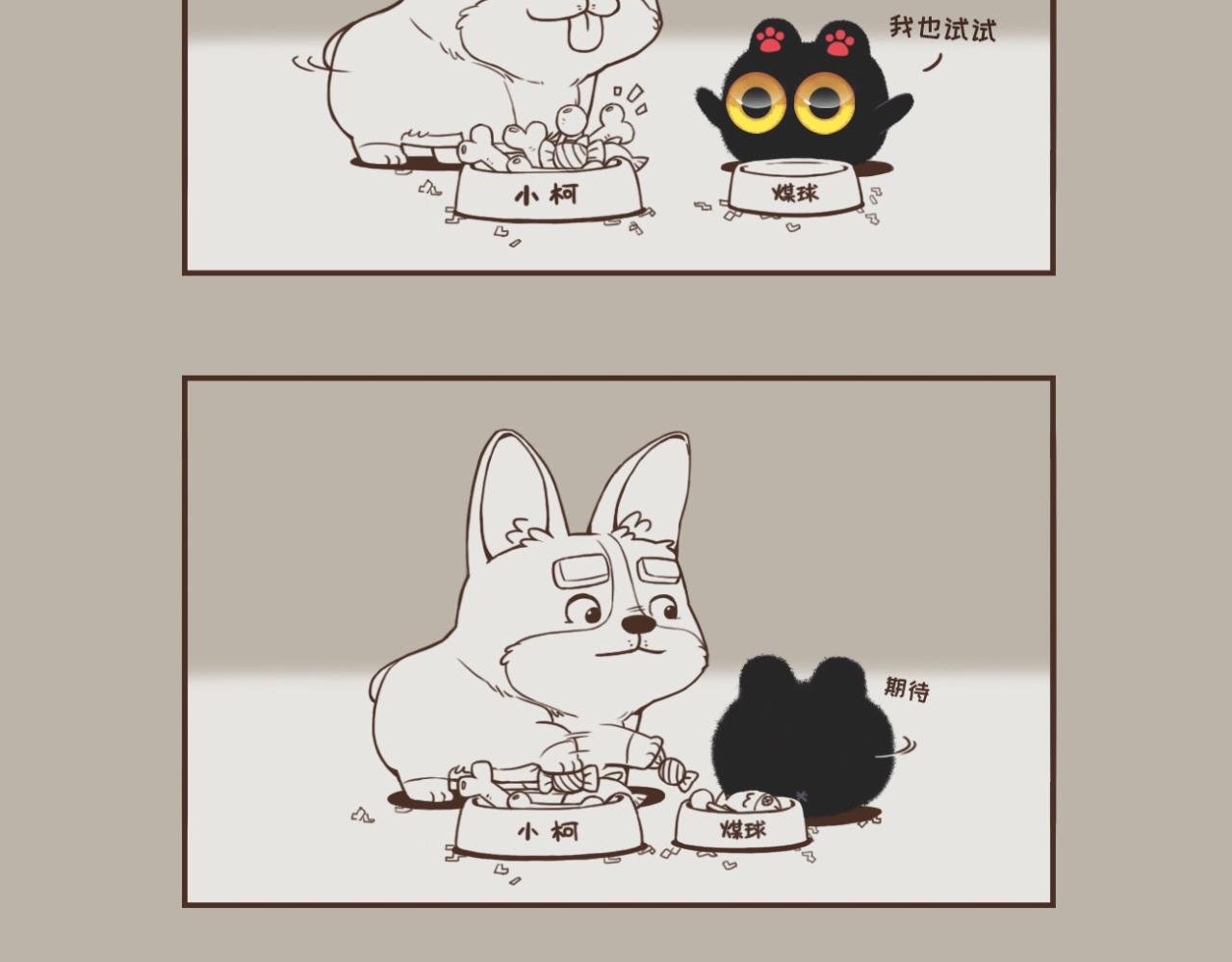 晚安，煤球