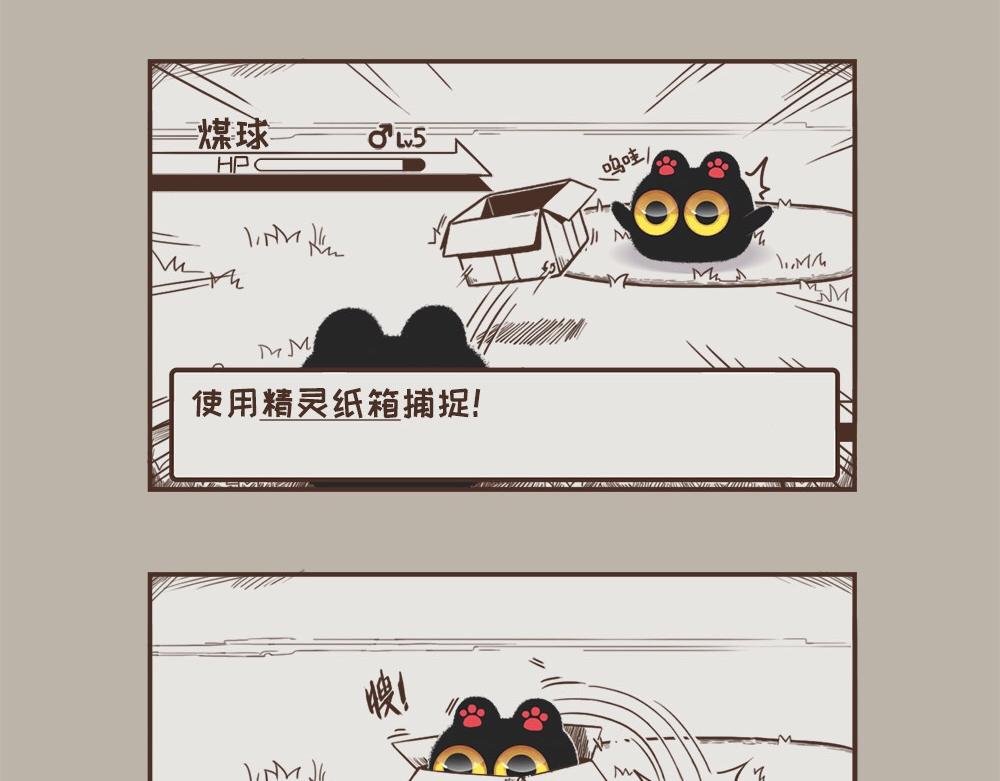 晚安，煤球