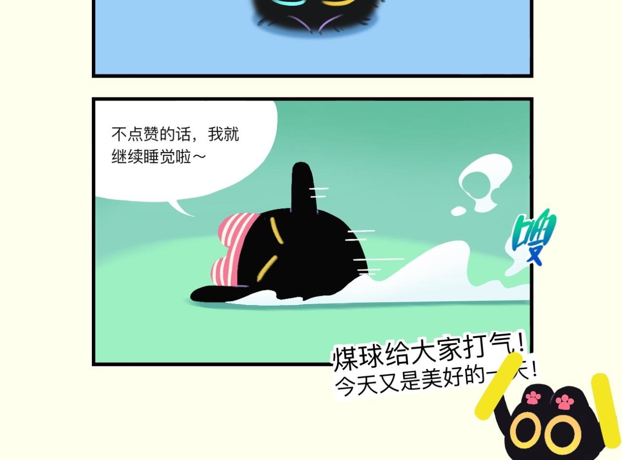 煤球今天星期几嘞？