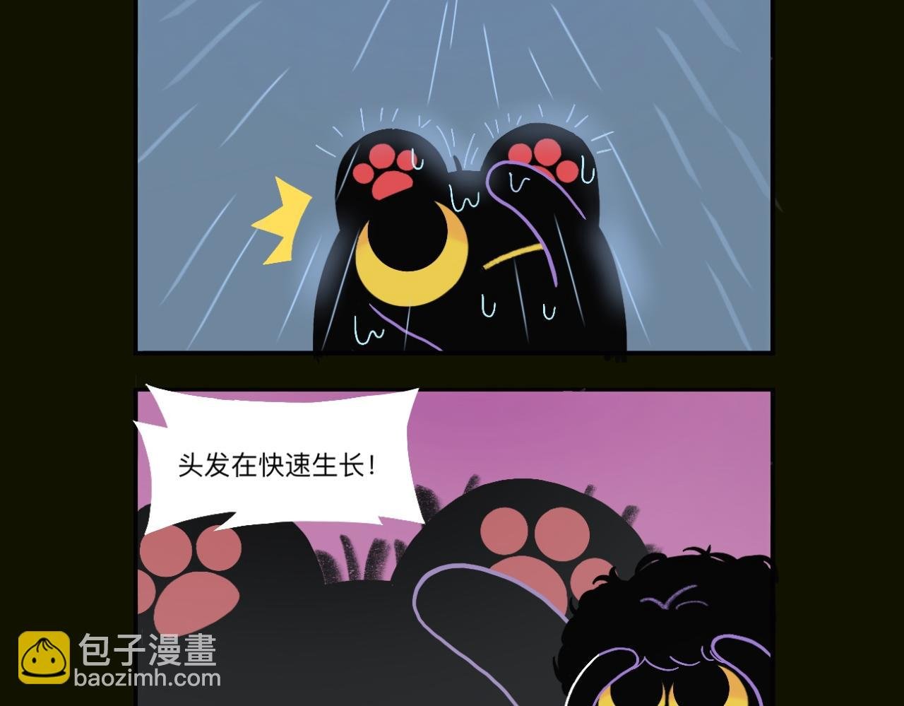 煤球今天星期几嘞？