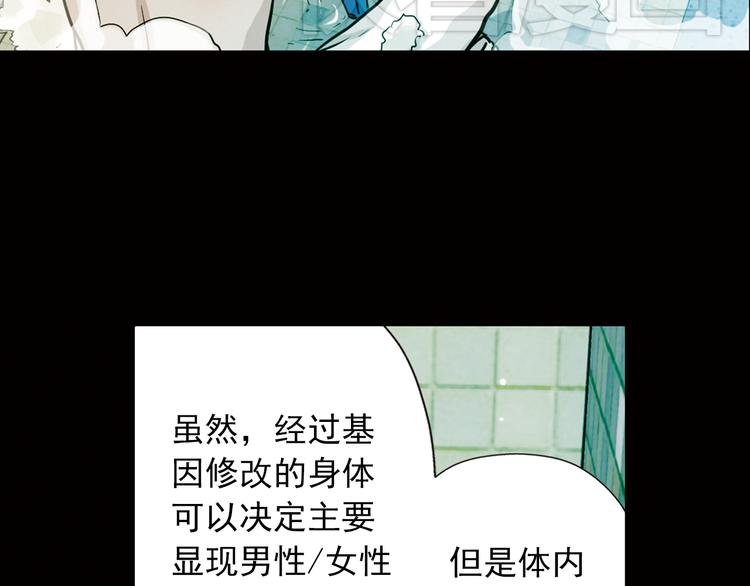 第20话 这个女人，是谁？