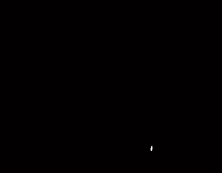第34话 血与玫瑰的往事