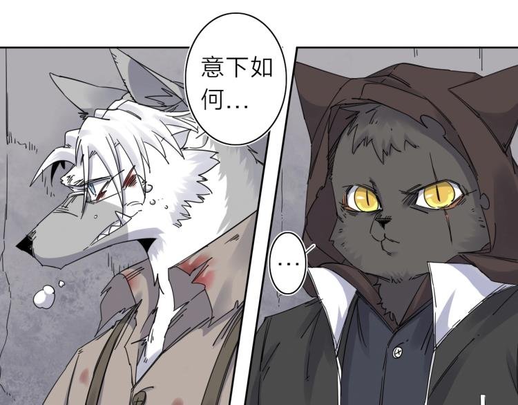 第11话 老猫不发威当我是病狗