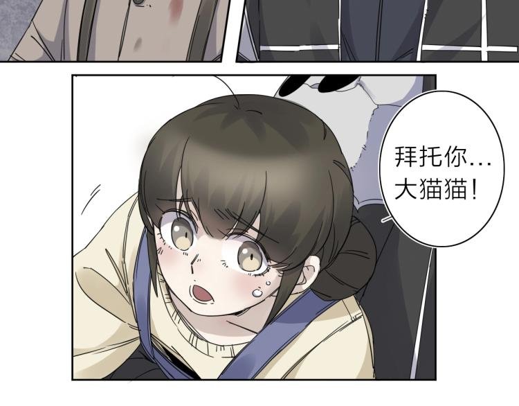 第11话 老猫不发威当我是病狗