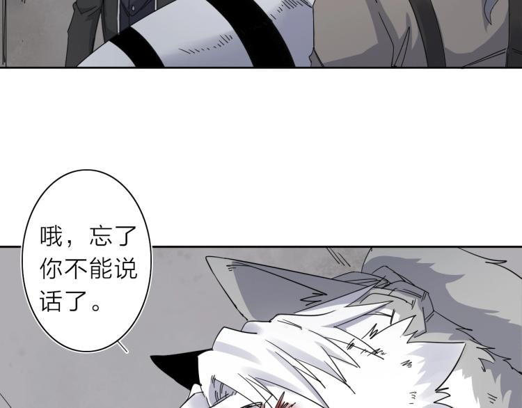 第11话 老猫不发威当我是病狗