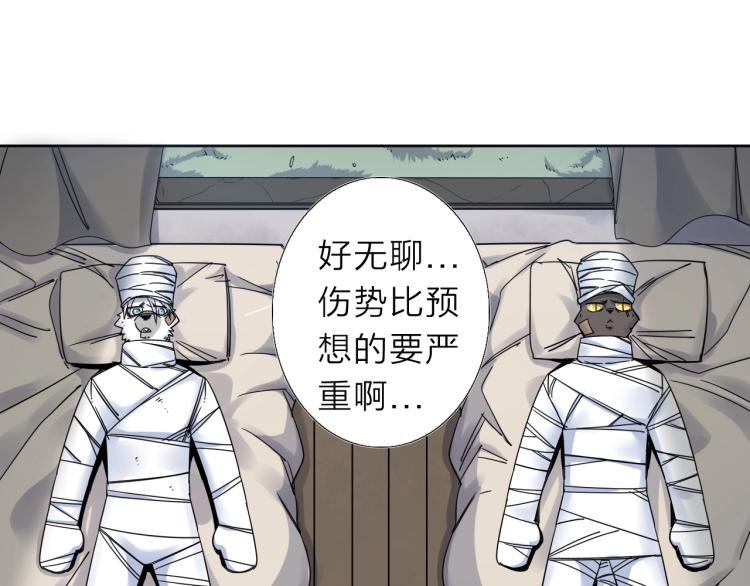 第12话 遇事不决先回忆