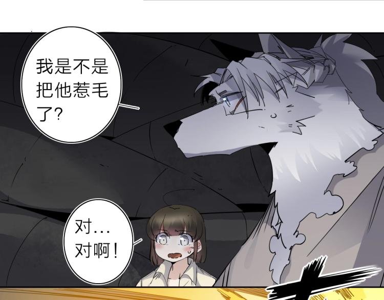 第28话 美少狗变身！