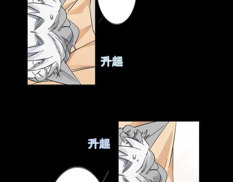 第4话 男二上线