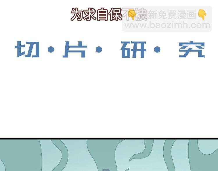 上线预告！