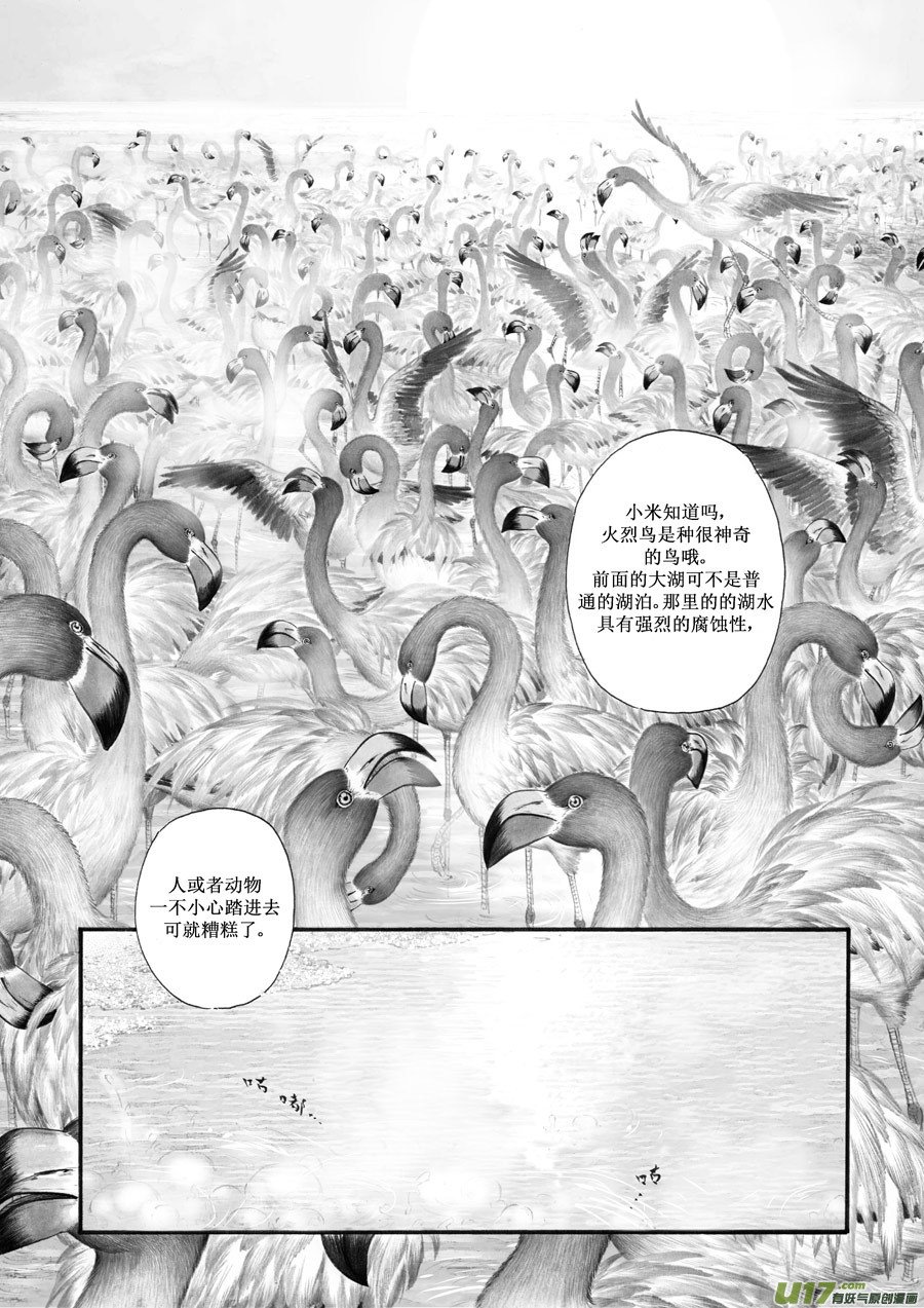 25 赤红③