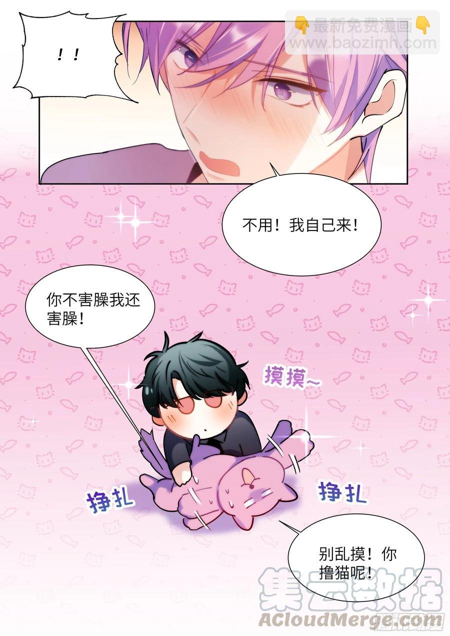 185.撸猫