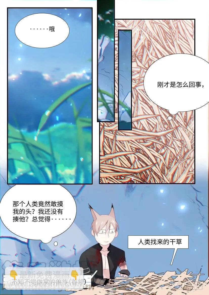 番外-兽人世界4