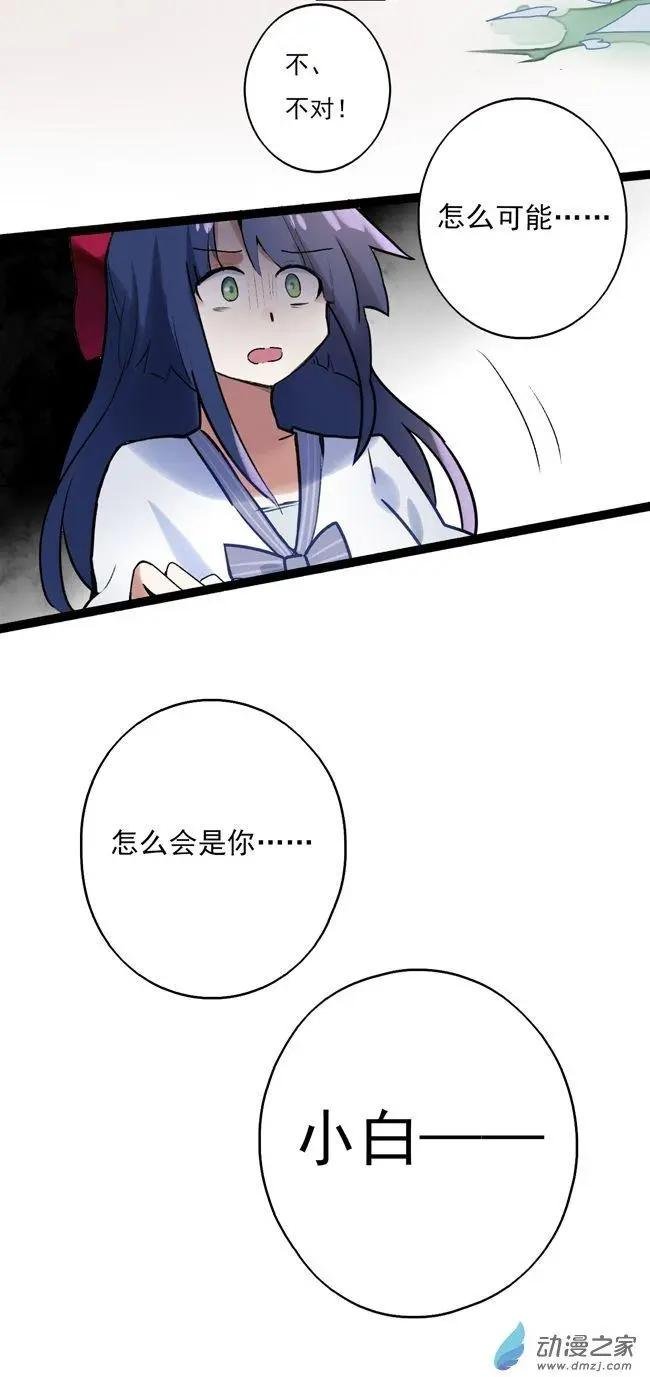 第41回