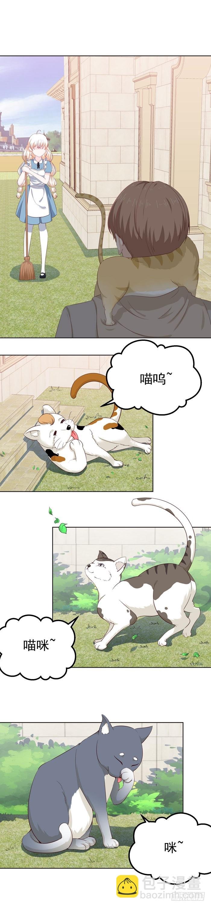 大家快来吸猫