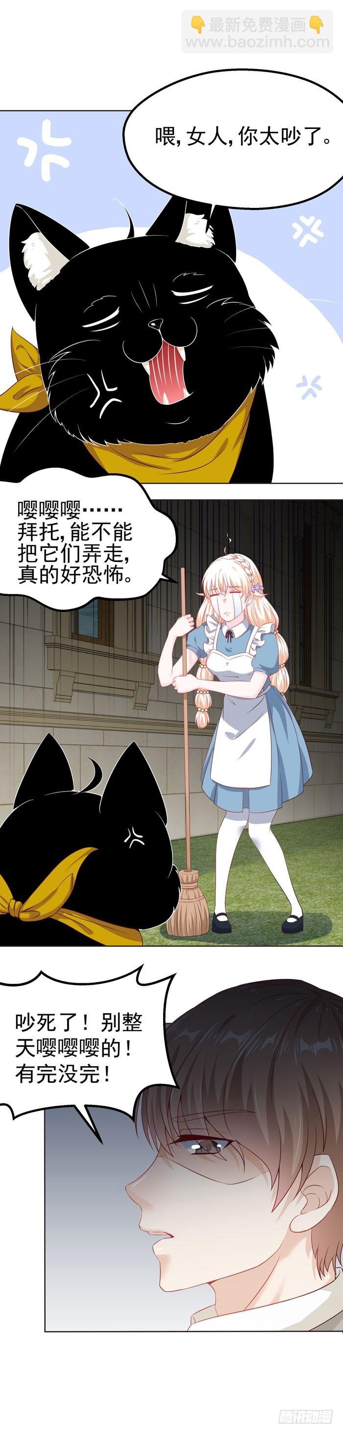 大家快来吸猫