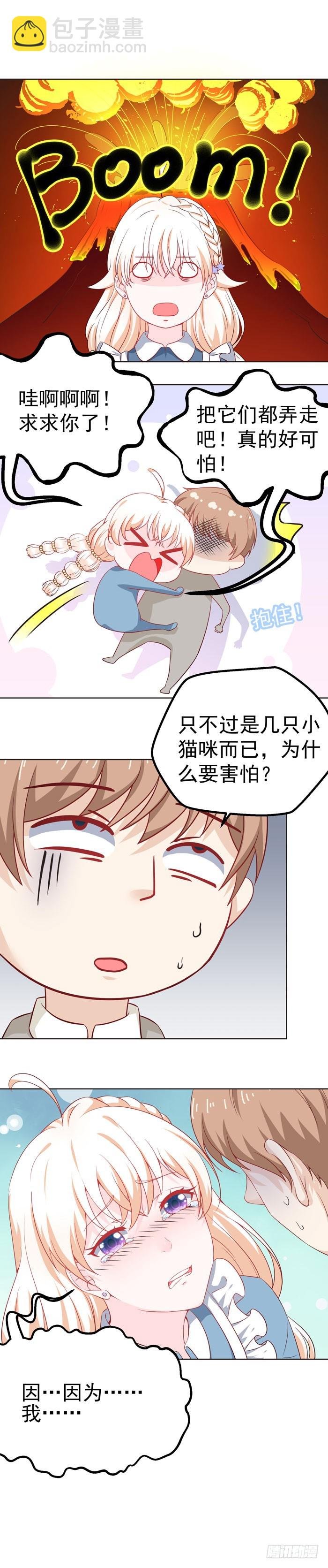 大家快来吸猫