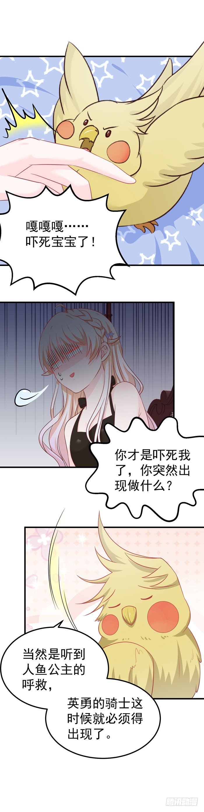 大家快来吸猫