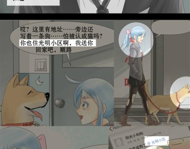 一条狗#10 被人盯上了