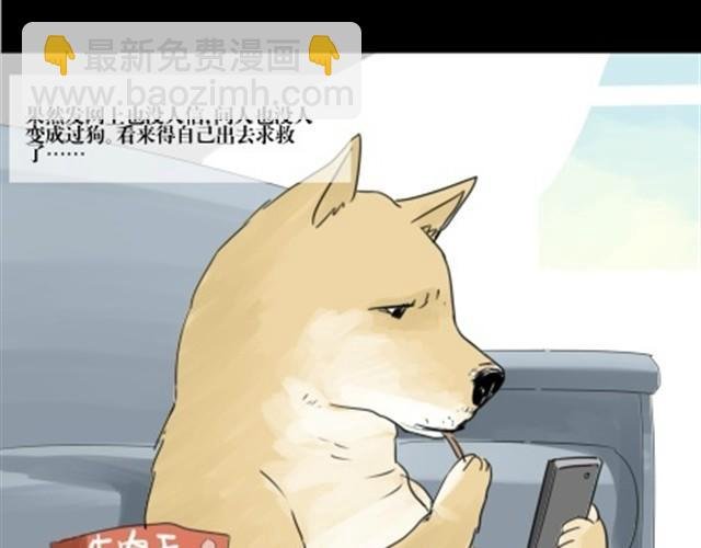 一条狗#2
