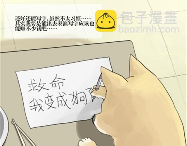 一条狗#2