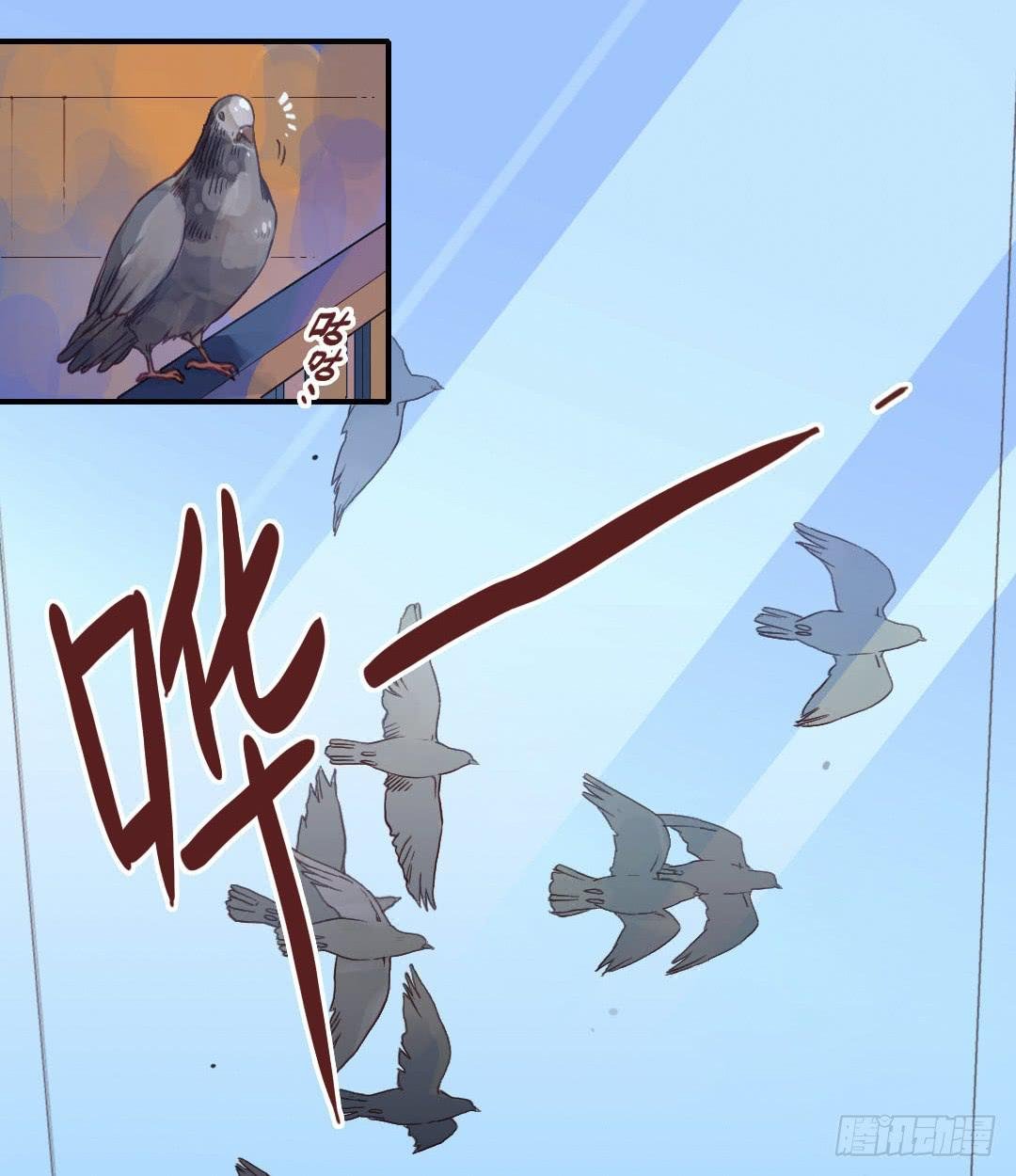 初见