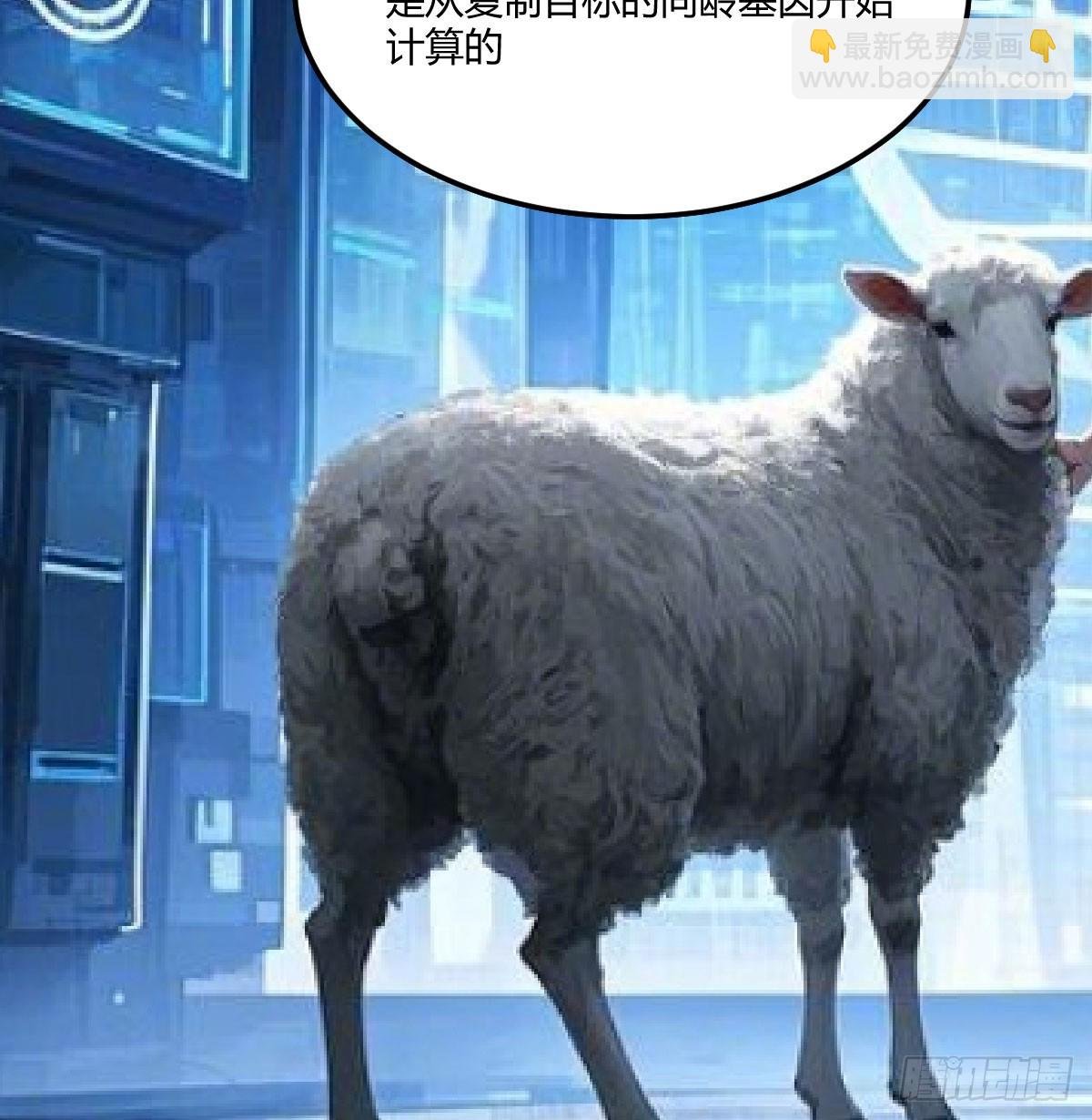 老婆和女上司的秘密