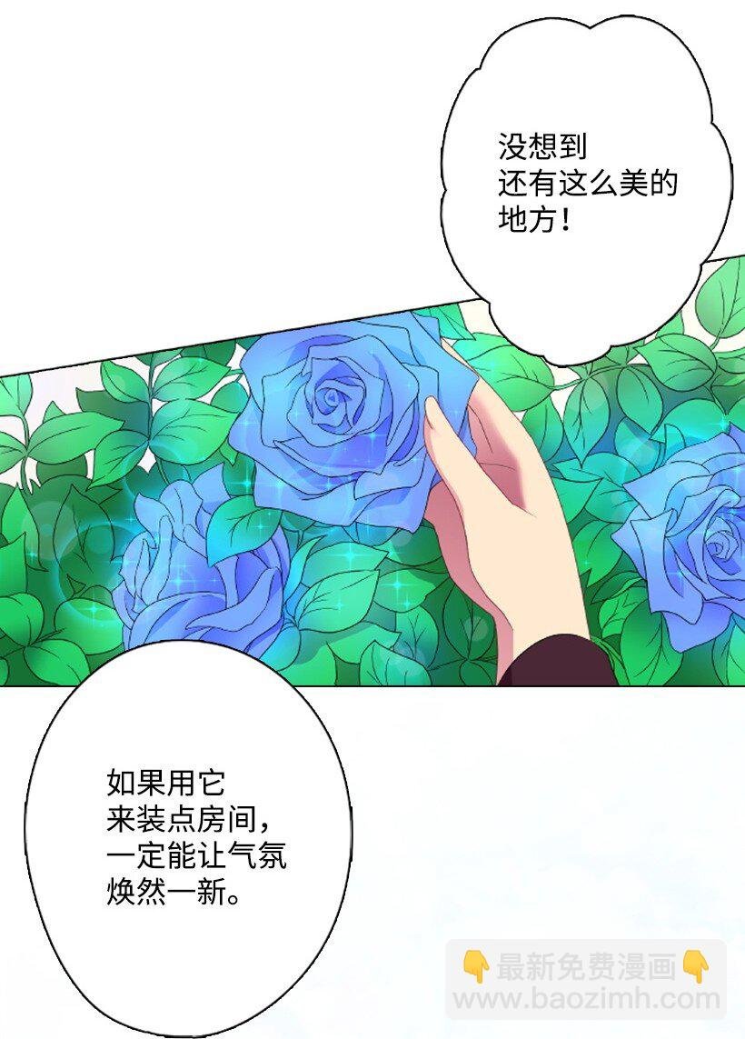 13 魔界的历史