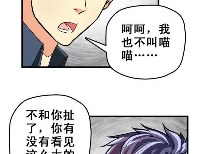 第12话 悸动