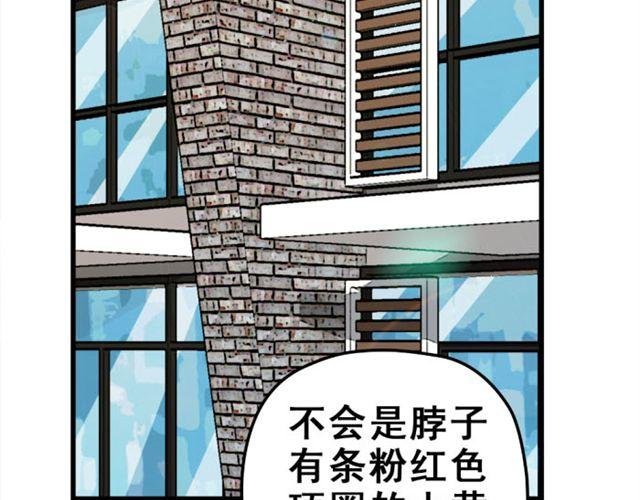 第12话 悸动
