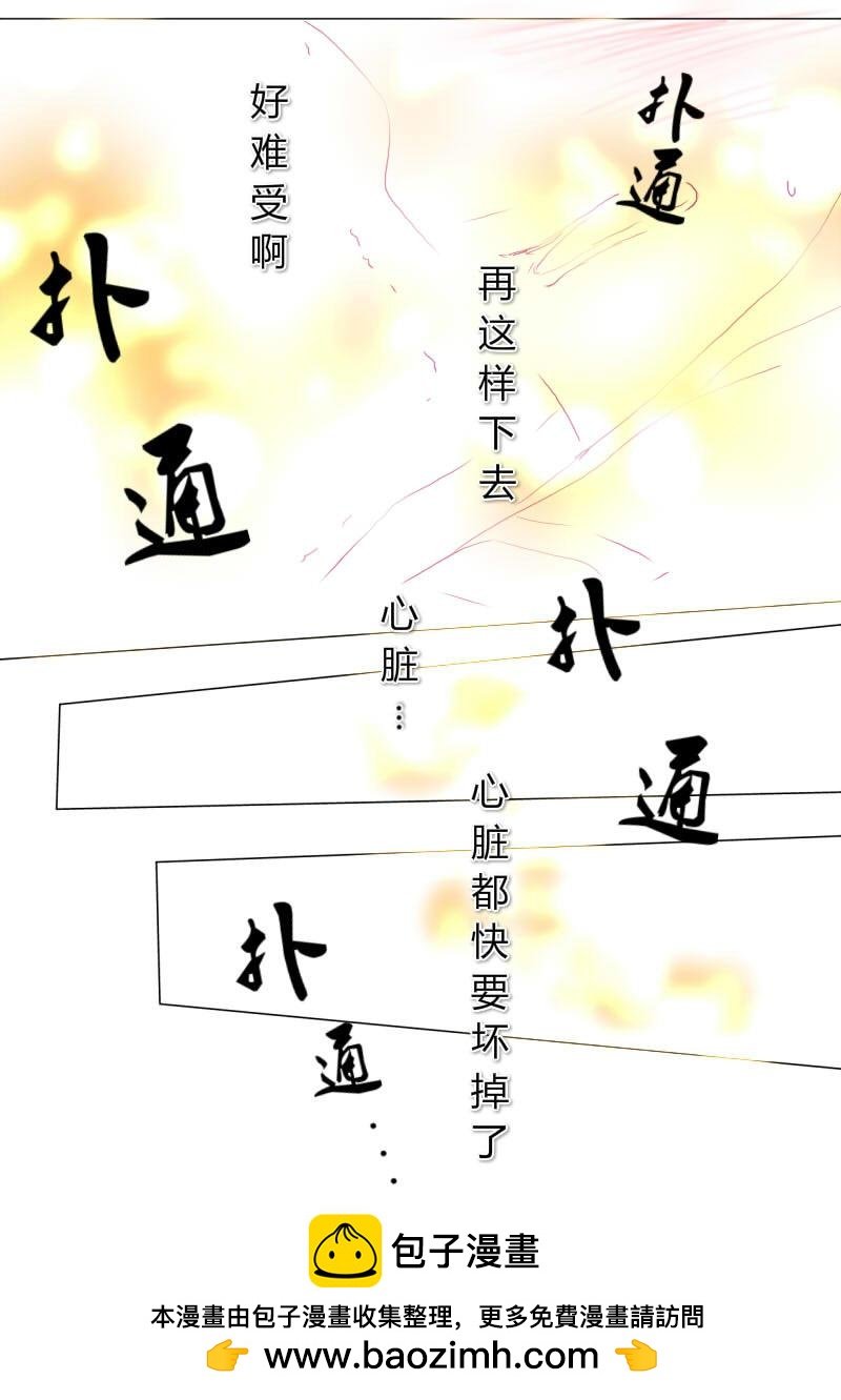 贰拾