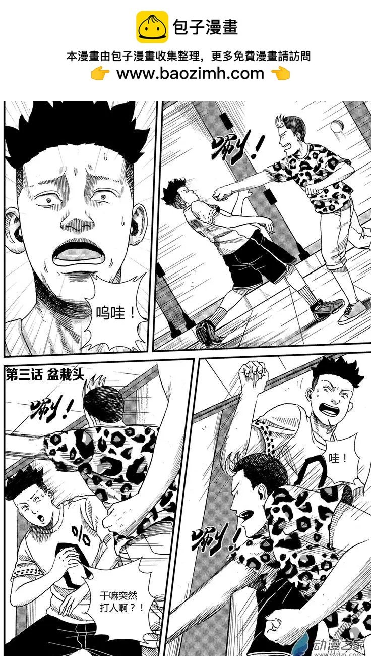 第03回 盆栽头