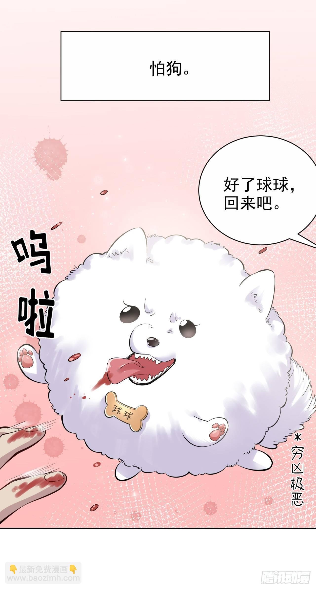 23.放开那个女孩