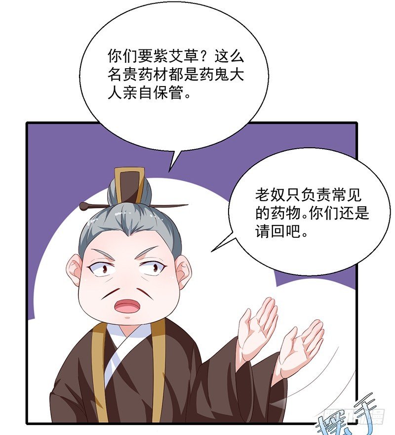 第125话 紫艾草