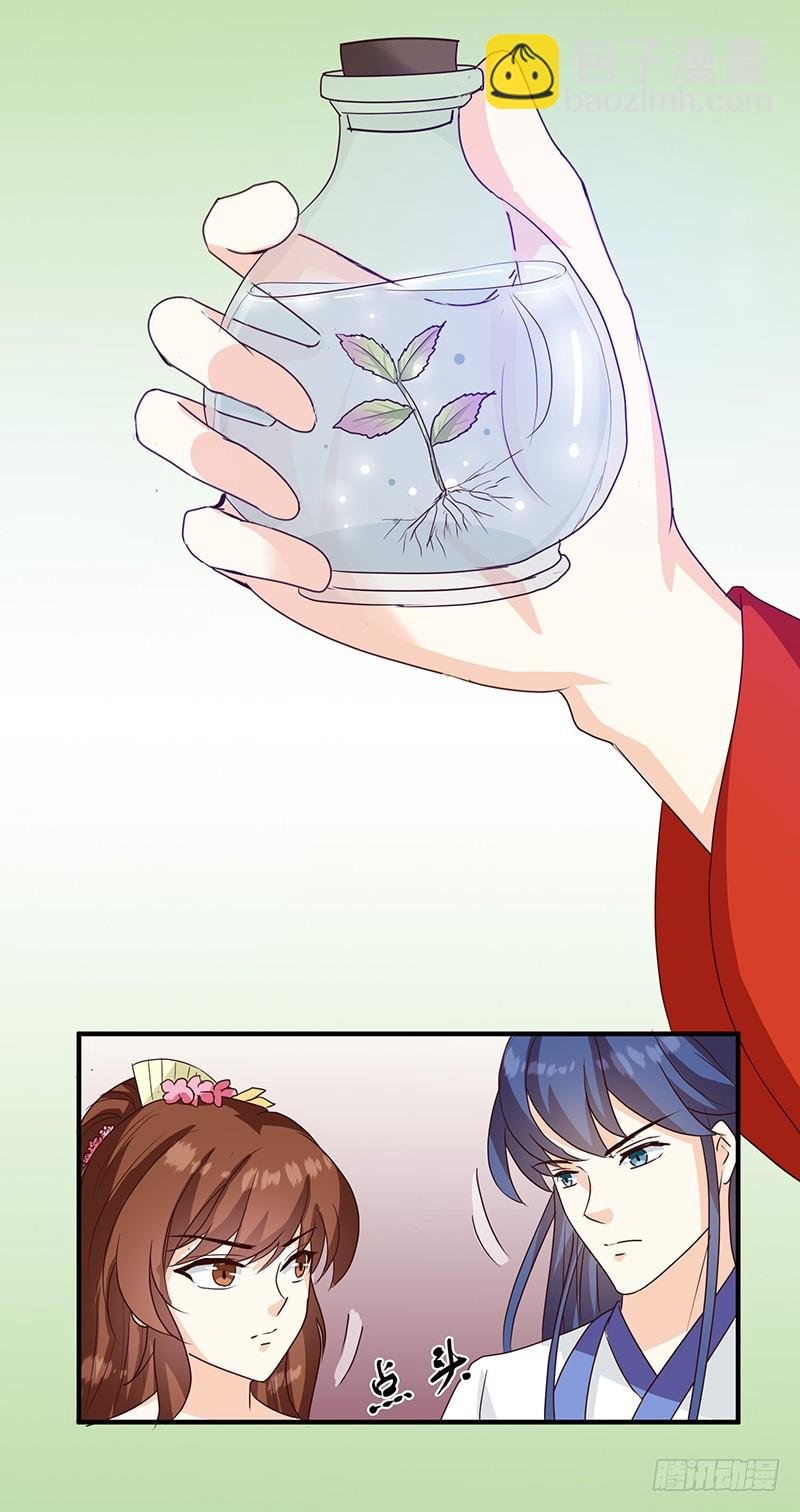 第126话 带你去药城