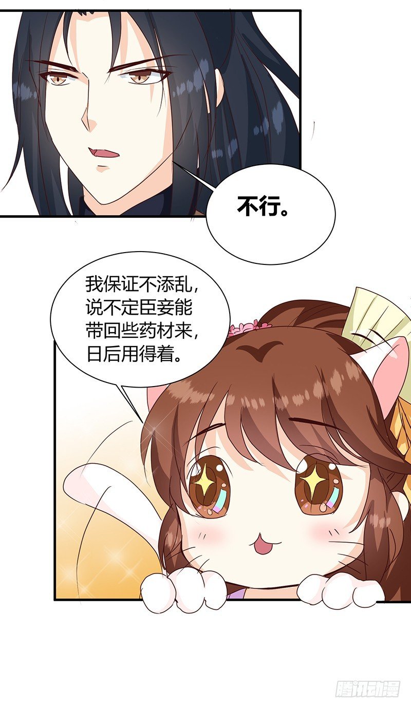 第126话 带你去药城