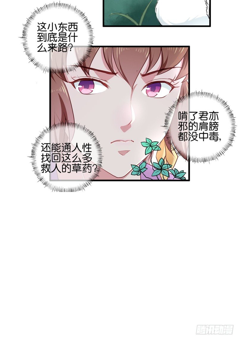第190话 搜捕秦王妃！