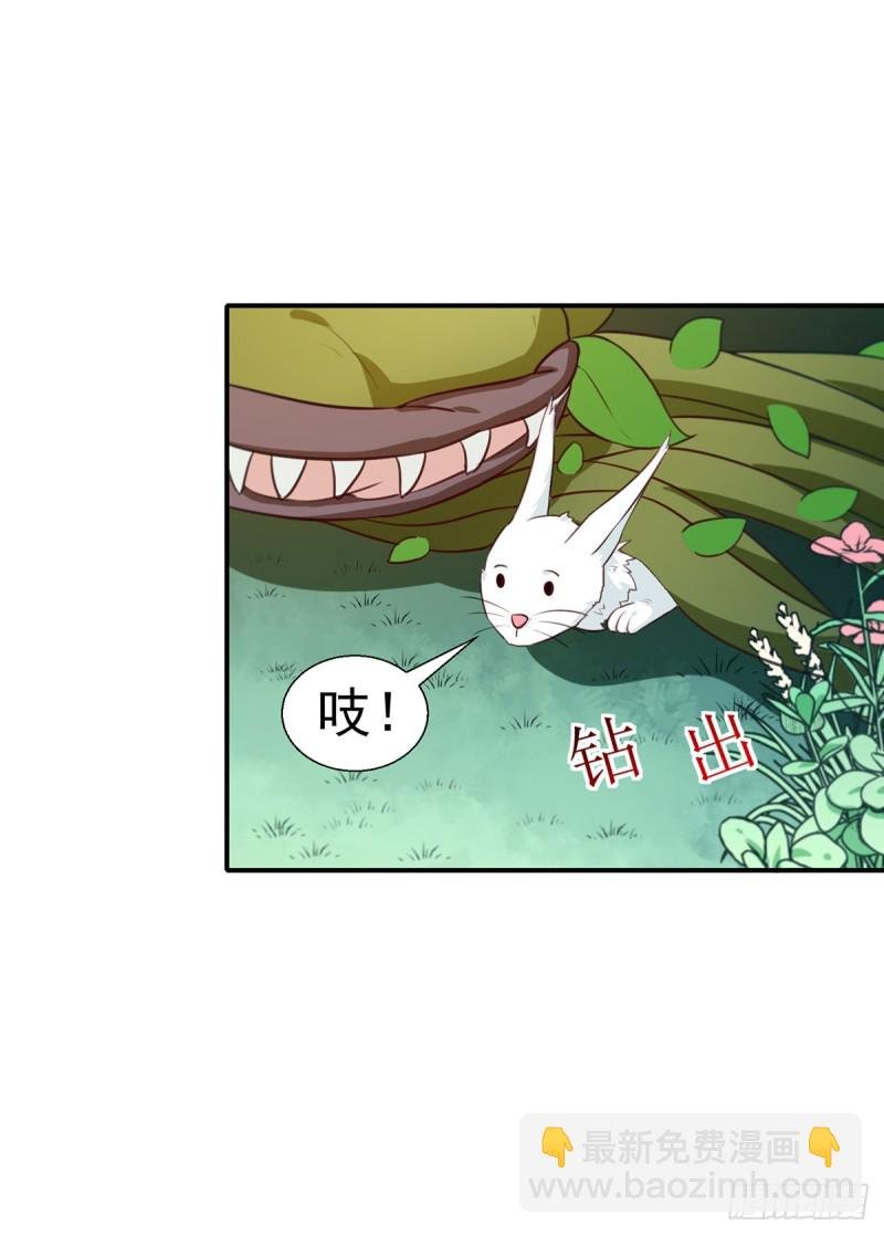第197话 又见面了