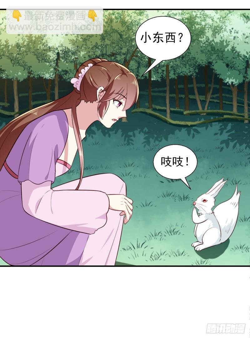 第197话 又见面了