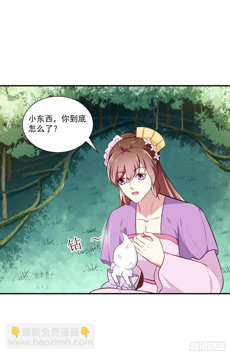第197话 又见面了