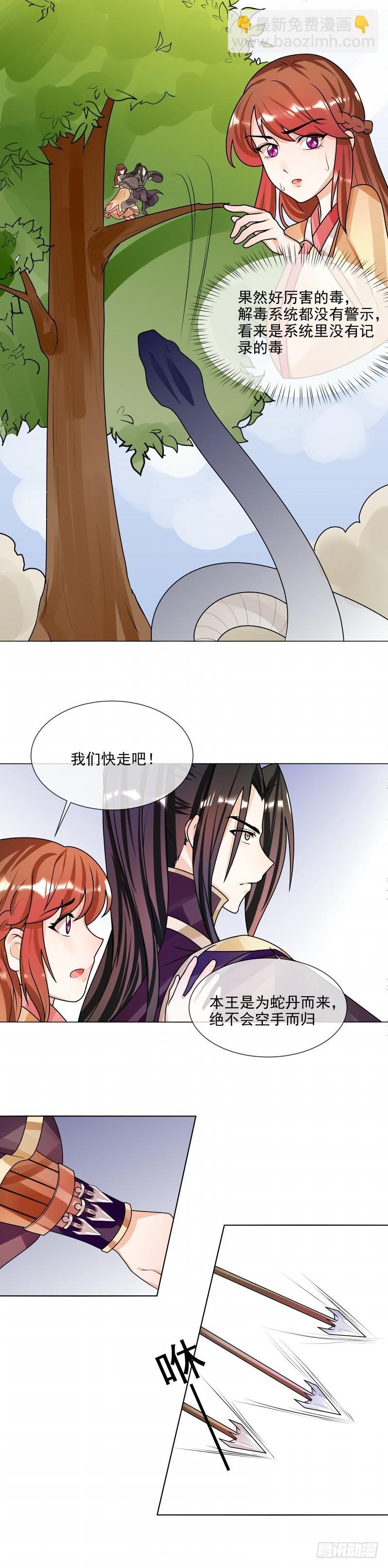 第51话 相公我们去哪？