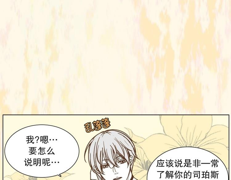 第35话 迷之司珀斯（2）